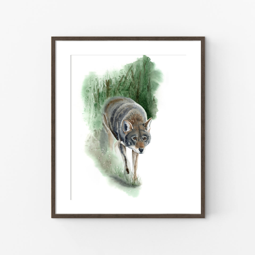 Red Wolf Art – “What Remains” | Endangered Species Wall Art (Print, Canvas, Framed) - Brett Blumenthal Art