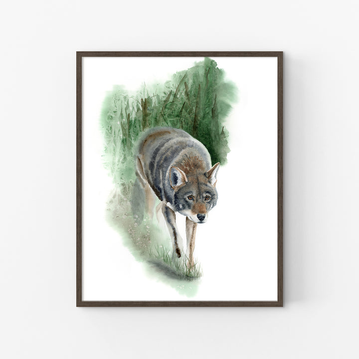 Red Wolf Art – “What Remains” | Endangered Species Wall Art (Print, Canvas, Framed) - Brett Blumenthal Art