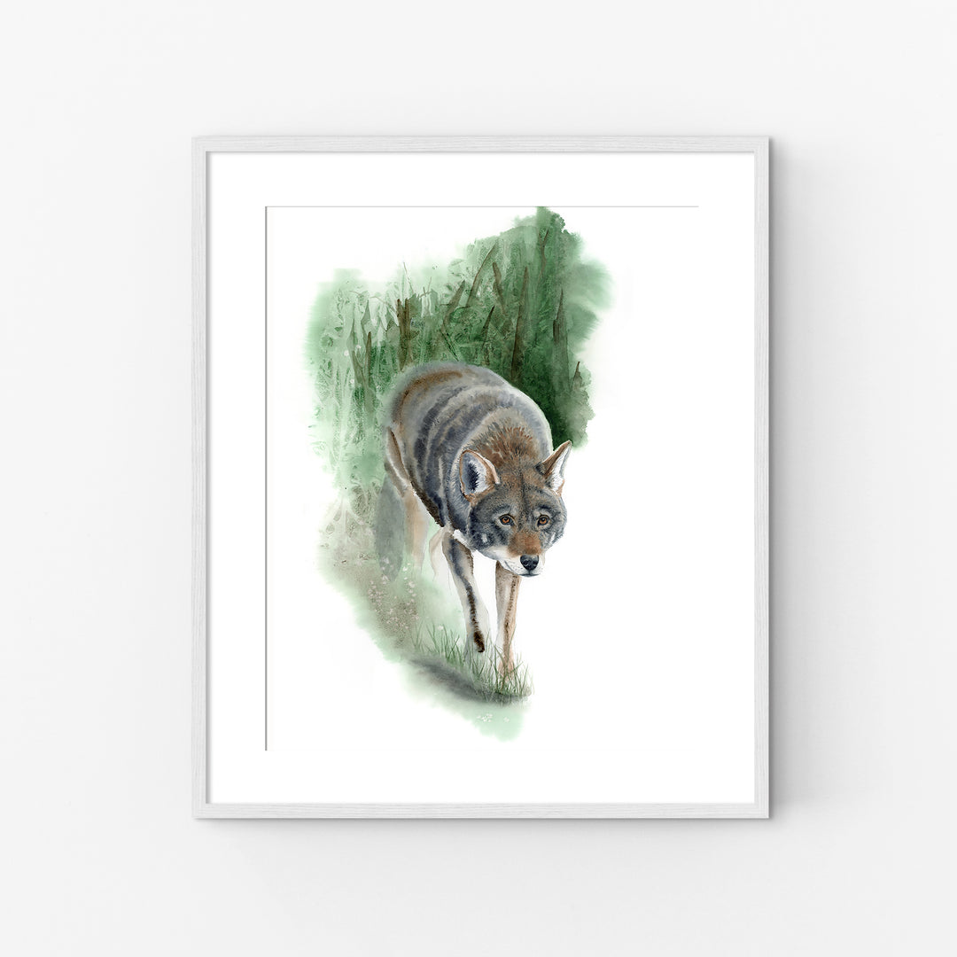 Red Wolf Art – “What Remains” | Endangered Species Wall Art (Print, Canvas, Framed) - Brett Blumenthal Art