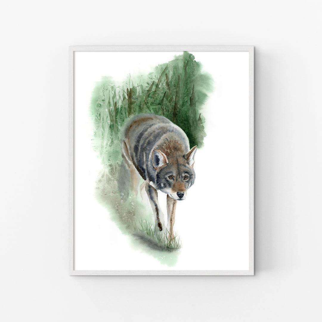 Red Wolf Art – “What Remains” | Endangered Species Wall Art (Print, Canvas, Framed) - Brett Blumenthal Art