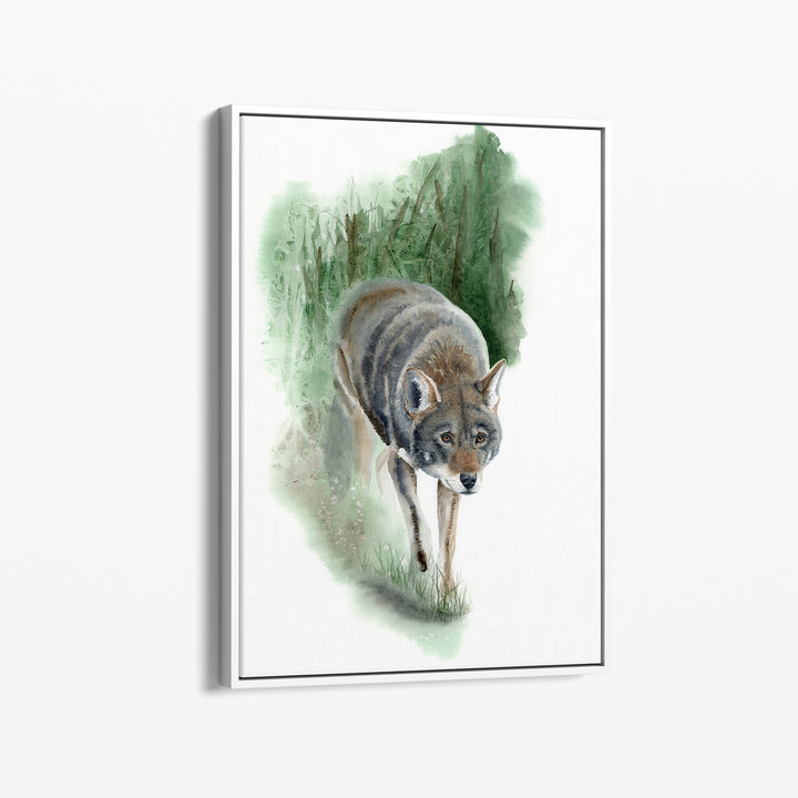 Red Wolf Art – “What Remains” | Endangered Species Wall Art (Print, Canvas, Framed) - Brett Blumenthal Art