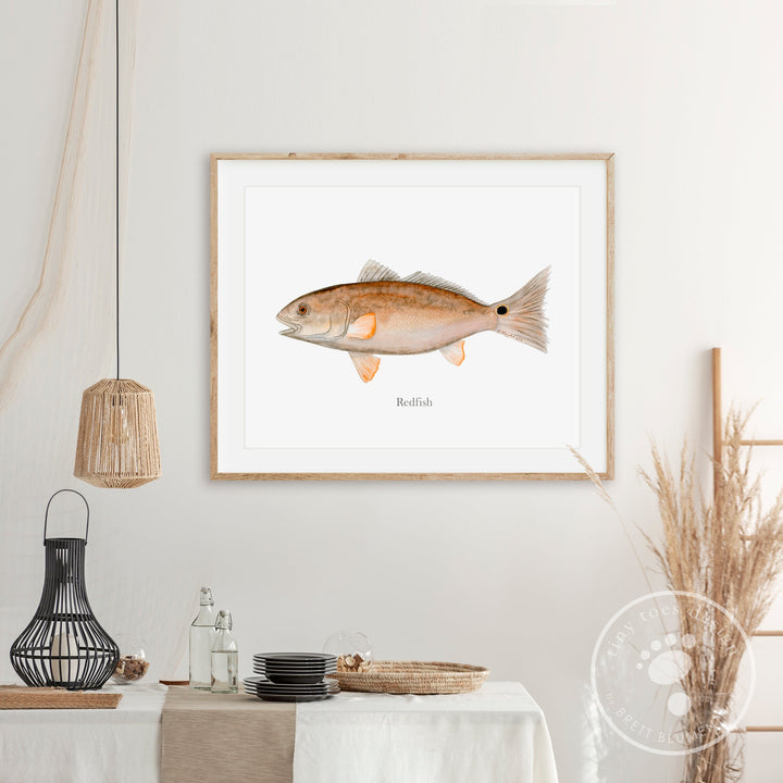 Redfish Watercolor Mount