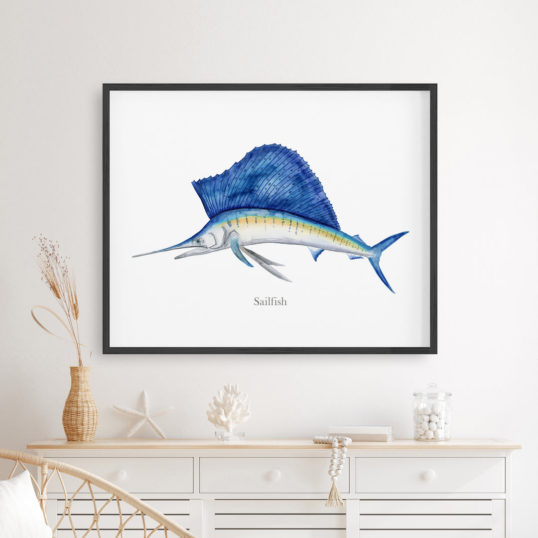 Segelfisch Aquarell