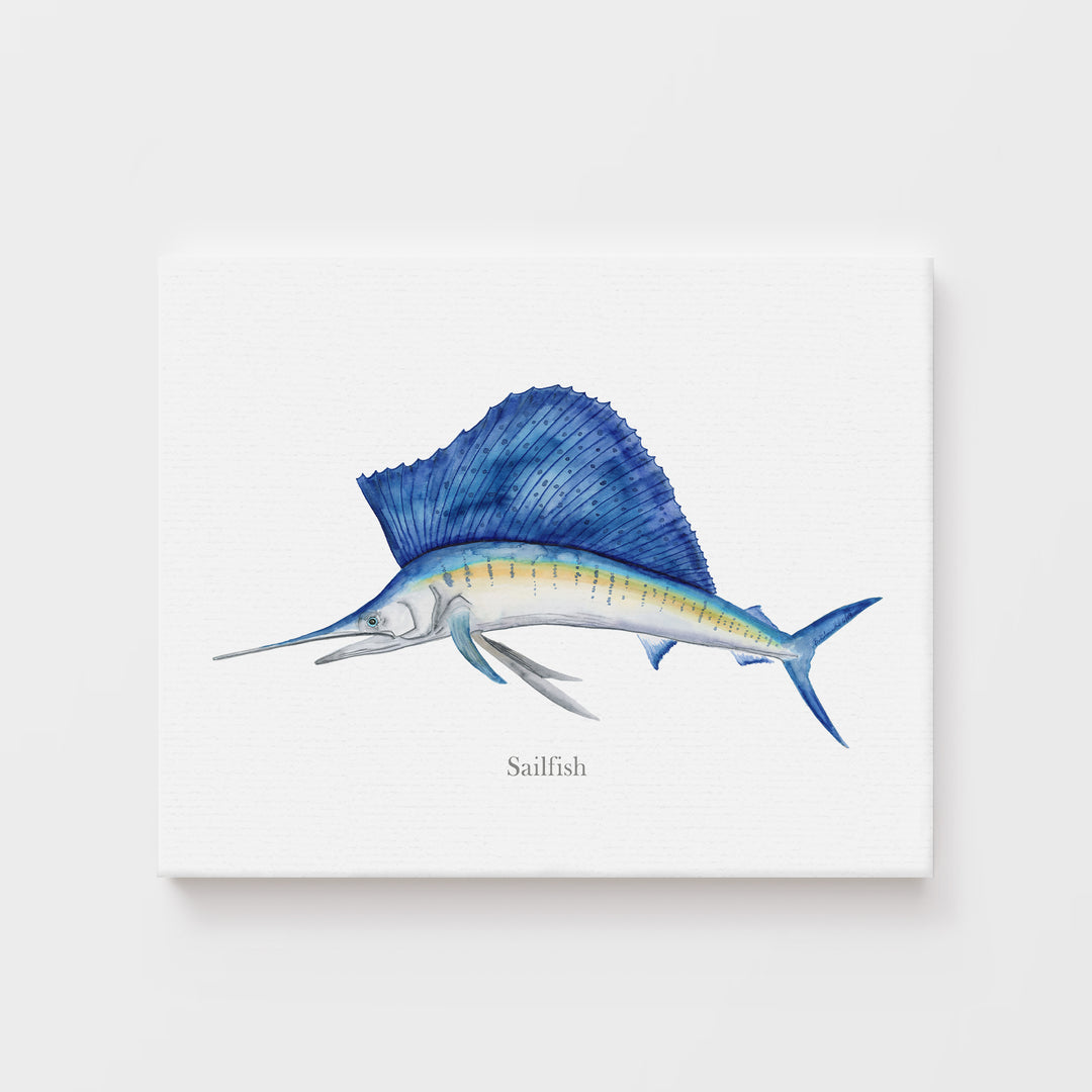 Segelfisch Aquarell