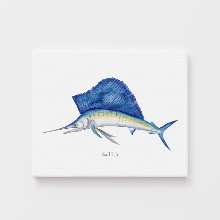 Segelfisch Aquarell