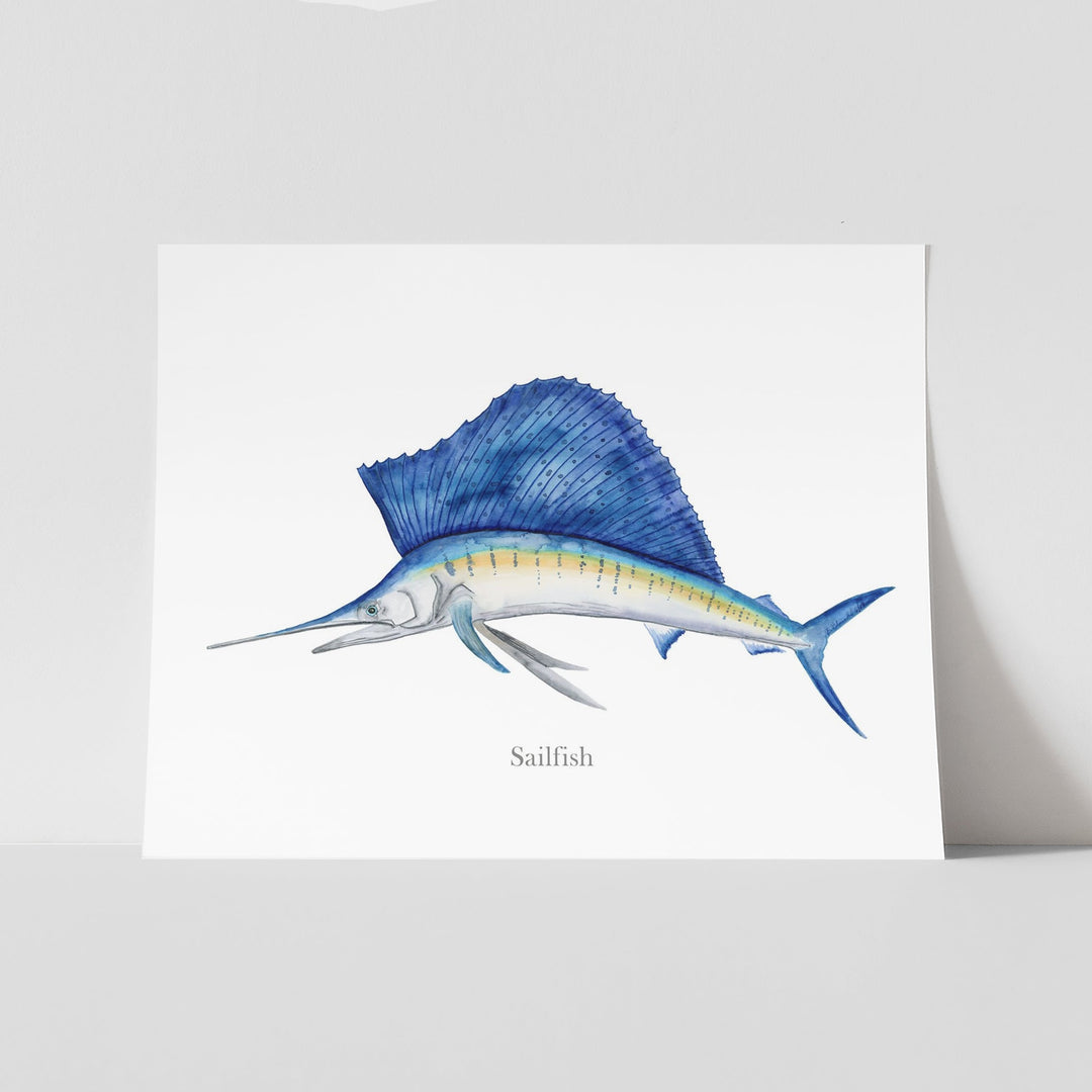 Segelfisch Aquarell