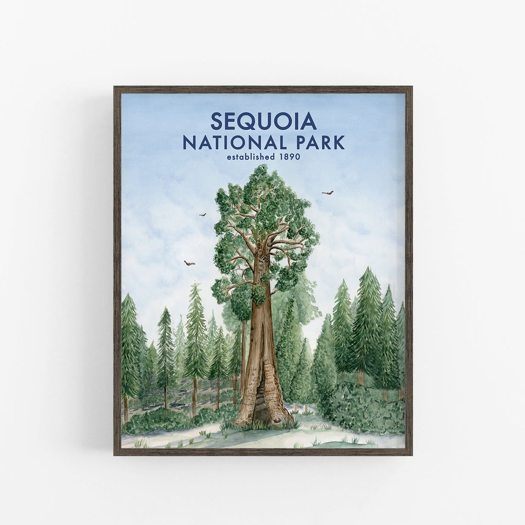 Poster Sequoia-Nationalpark