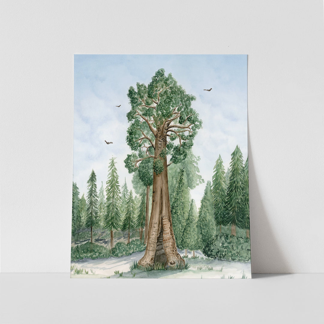 Sequoia National Park Poster - Brett Blumenthal Art