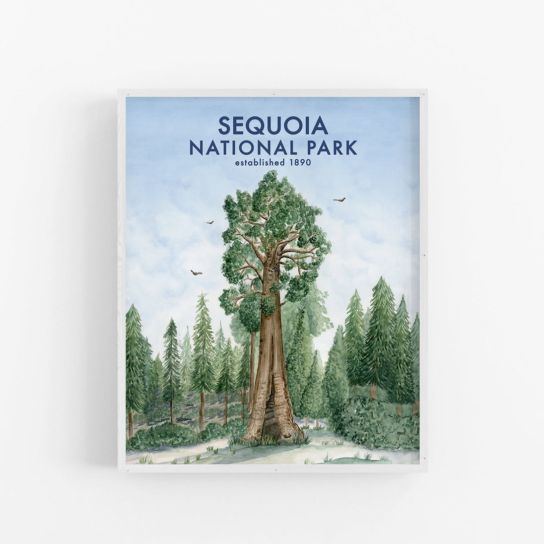 Sequoia National Park Poster - Brett Blumenthal Art