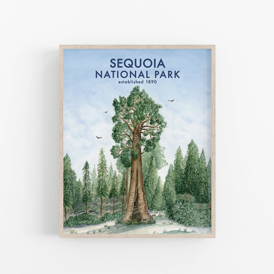 Sequoia National Park Poster - Brett Blumenthal Art