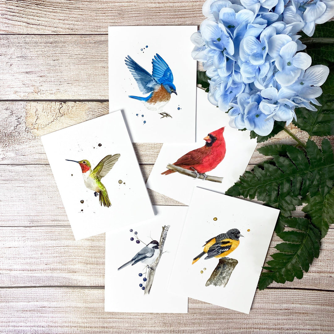 Bird Notecard Set