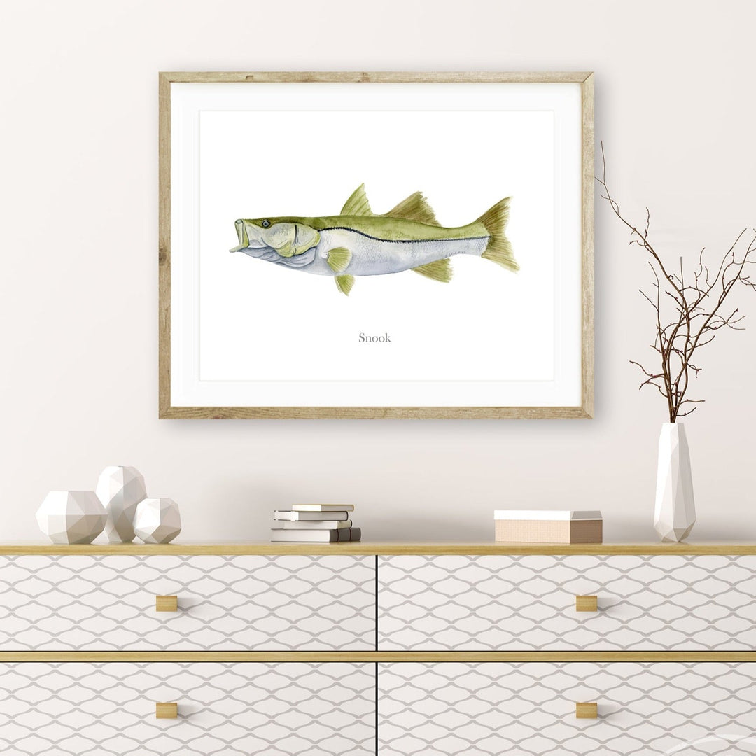 Snook Mount