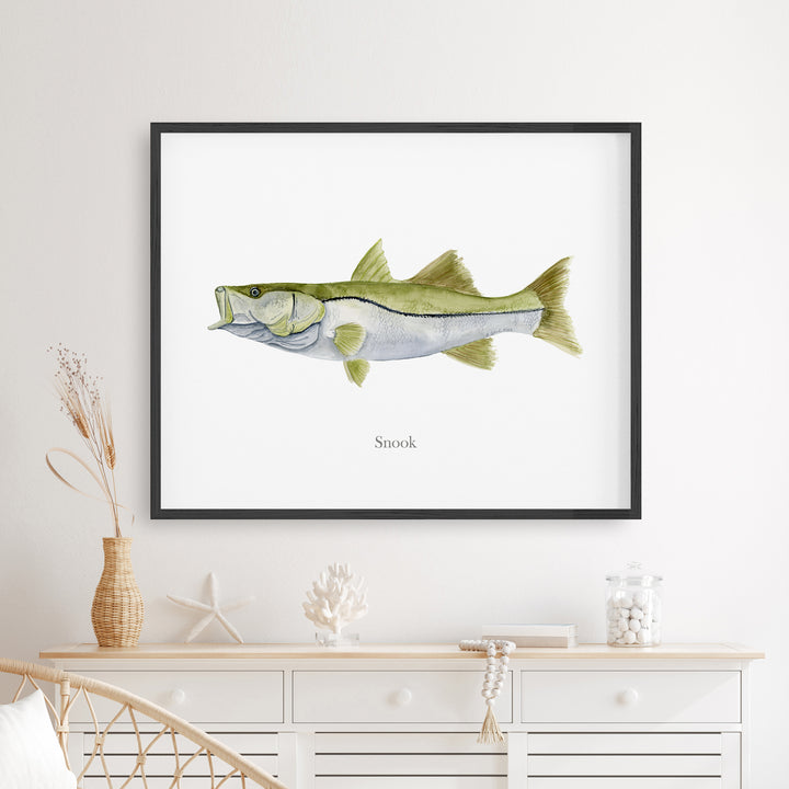 Snook Watercolor