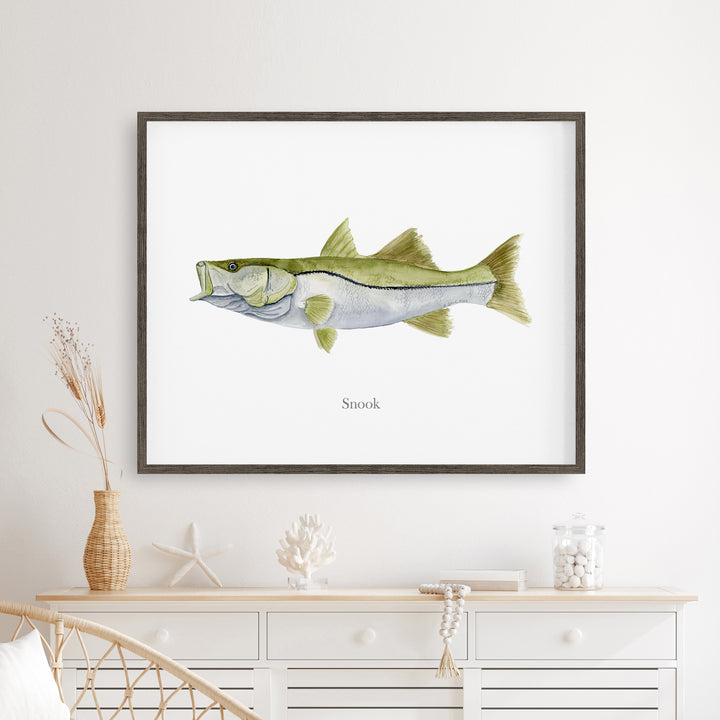 Snook Watercolor