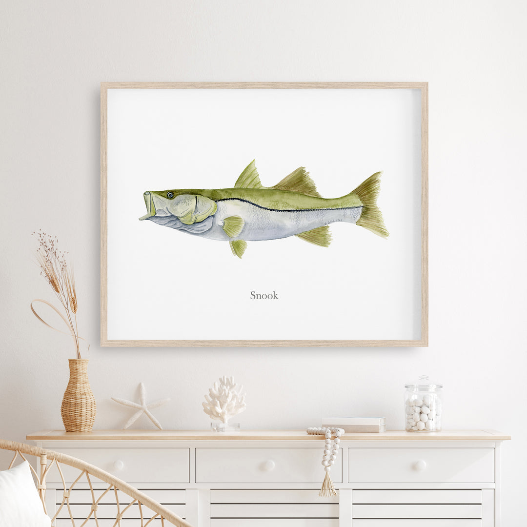 Snook Watercolor