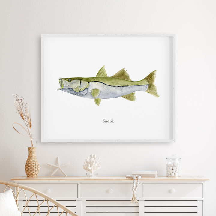 Snook Watercolor