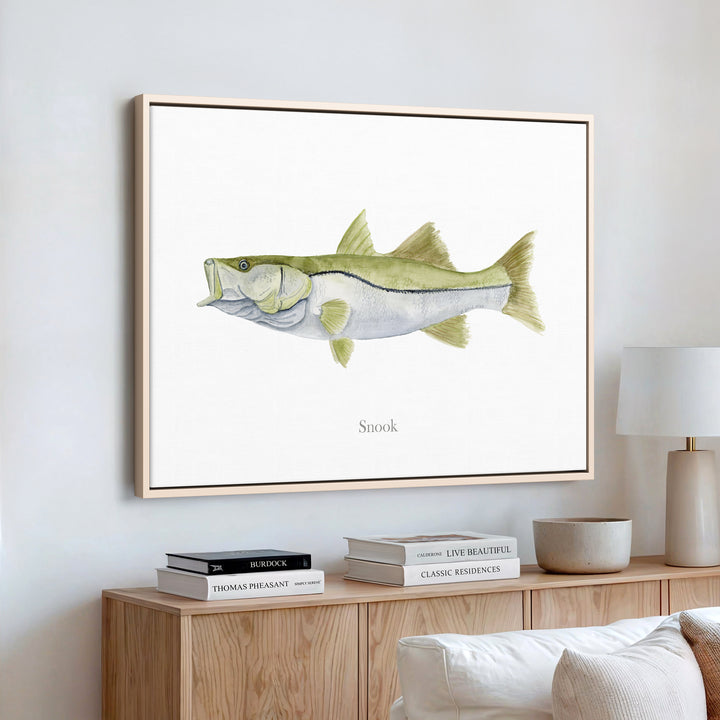 Snook Watercolor