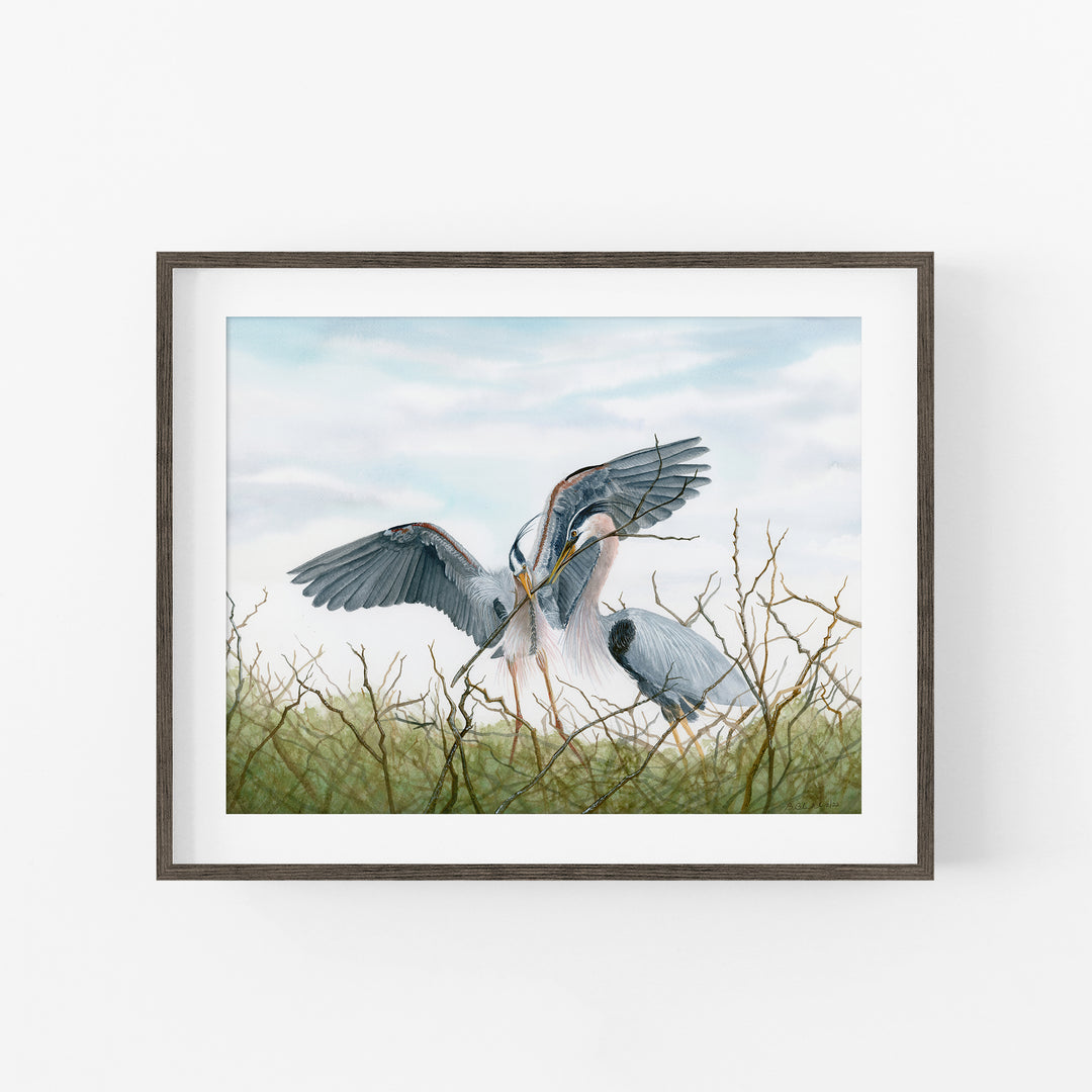 The Nest | Prints, Framed and Canvas - Brett Blumenthal Art