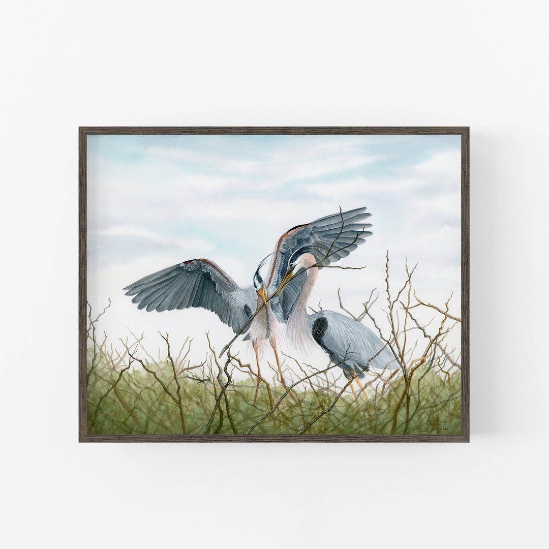 The Nest | Prints, Framed and Canvas - Brett Blumenthal Art