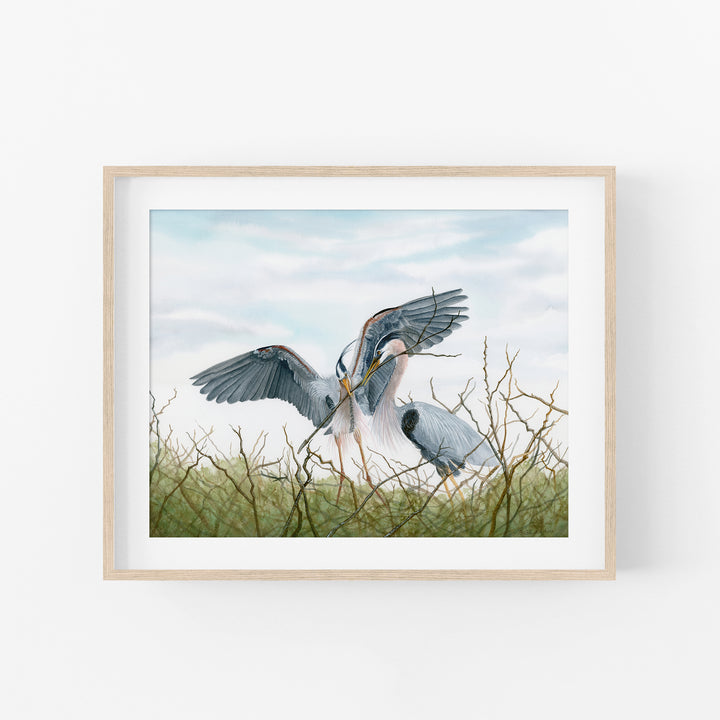 The Nest | Prints, Framed and Canvas - Brett Blumenthal Art