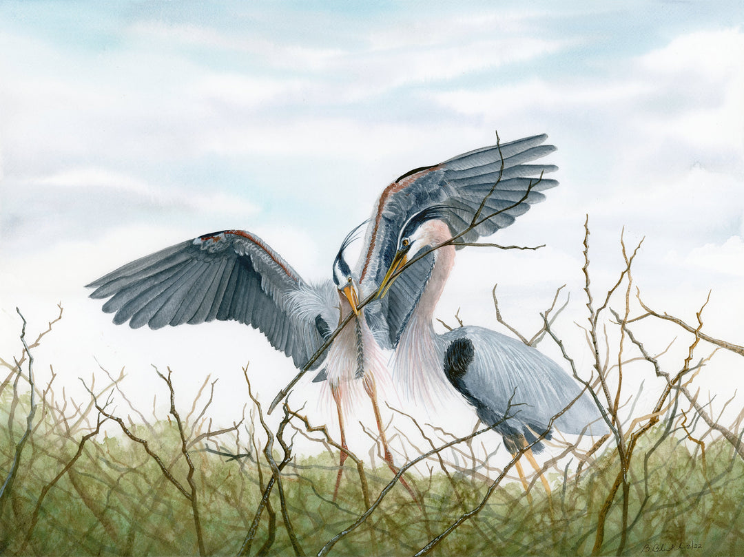 Blue Heron Watercolor Original Painting by Brett Bluenthal