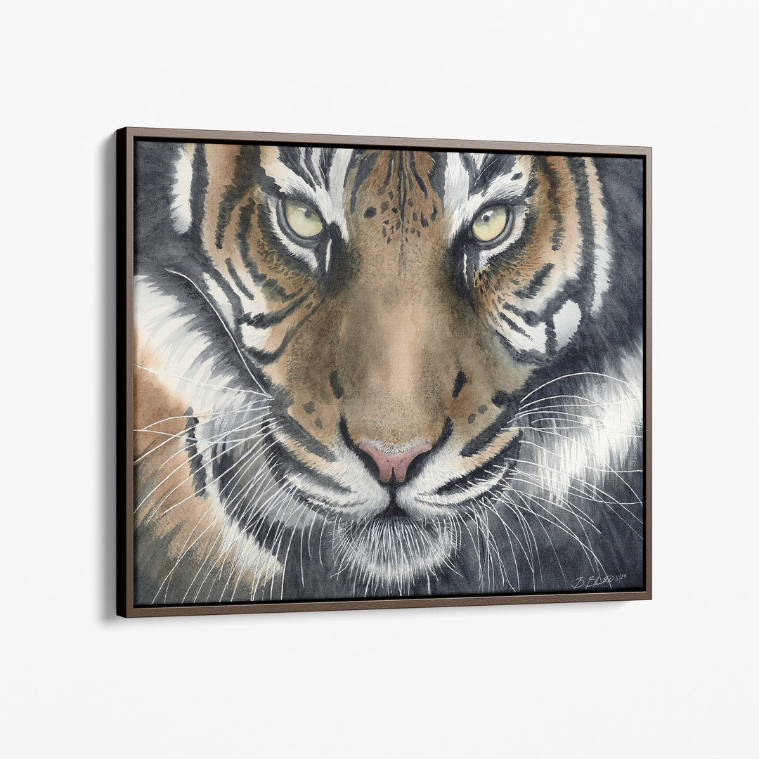 Eye of the Tiger Watercolor Art - Brett Blumenthal Art