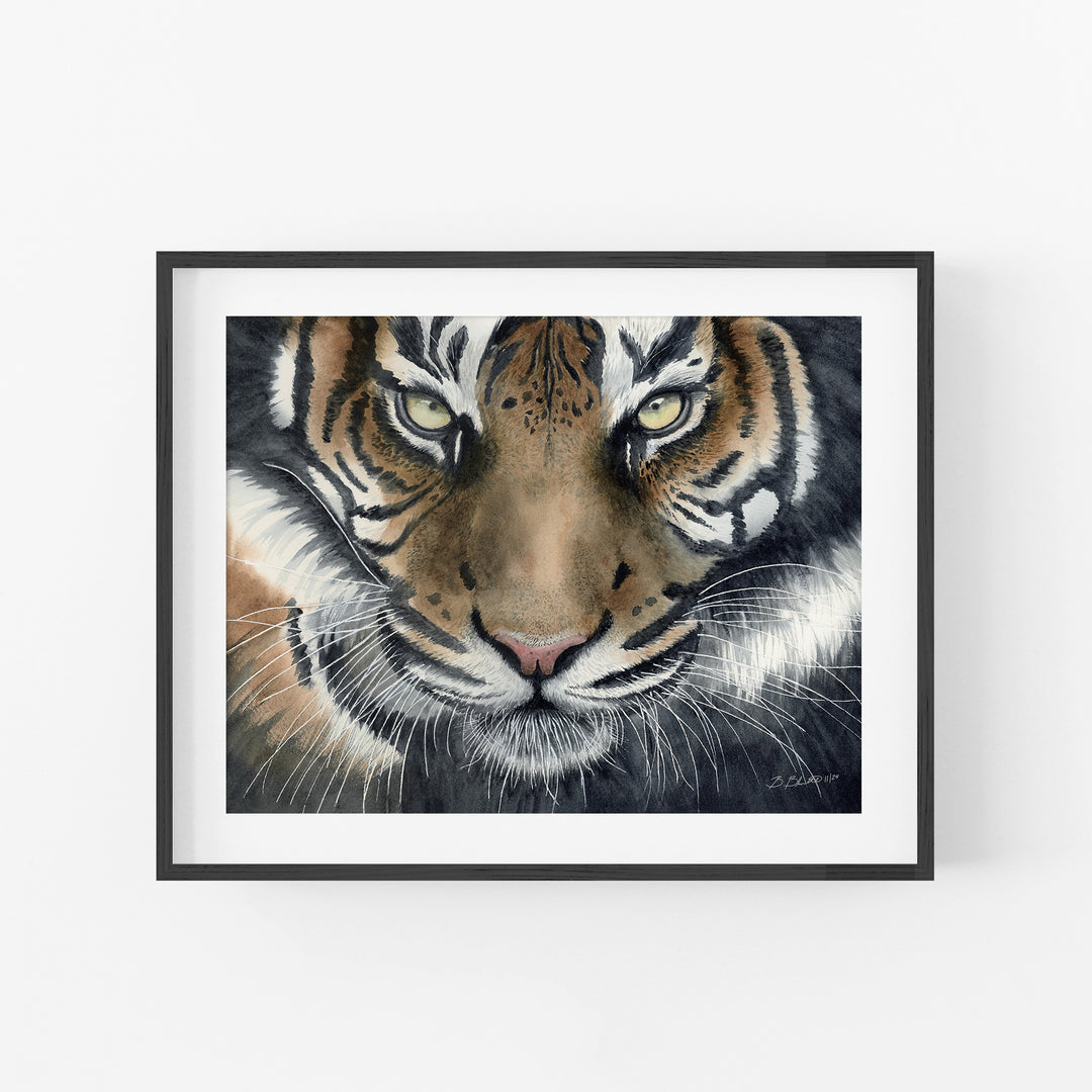 Eye of the Tiger Watercolor Art - Brett Blumenthal Art