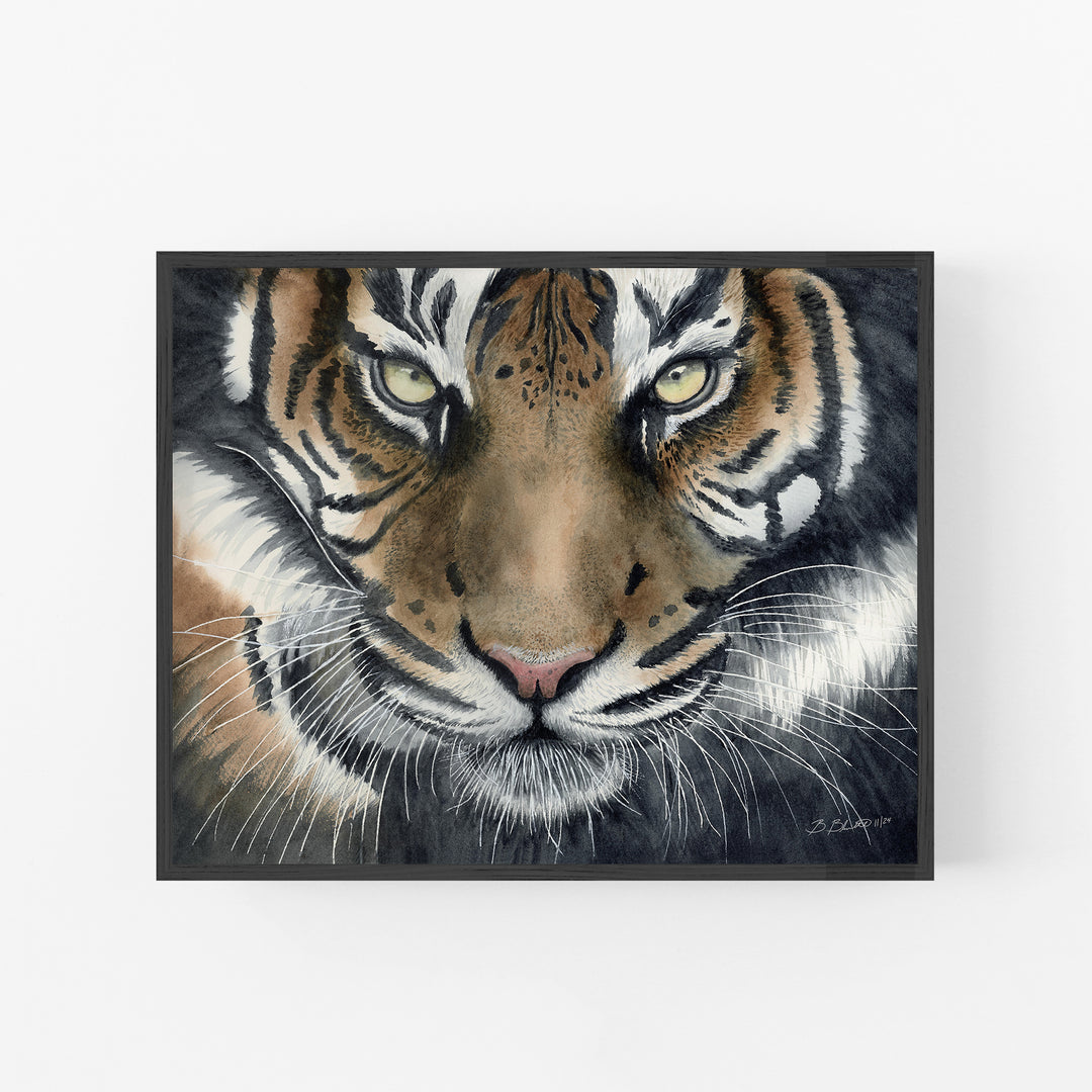 Eye of the Tiger Watercolor Art - Brett Blumenthal Art
