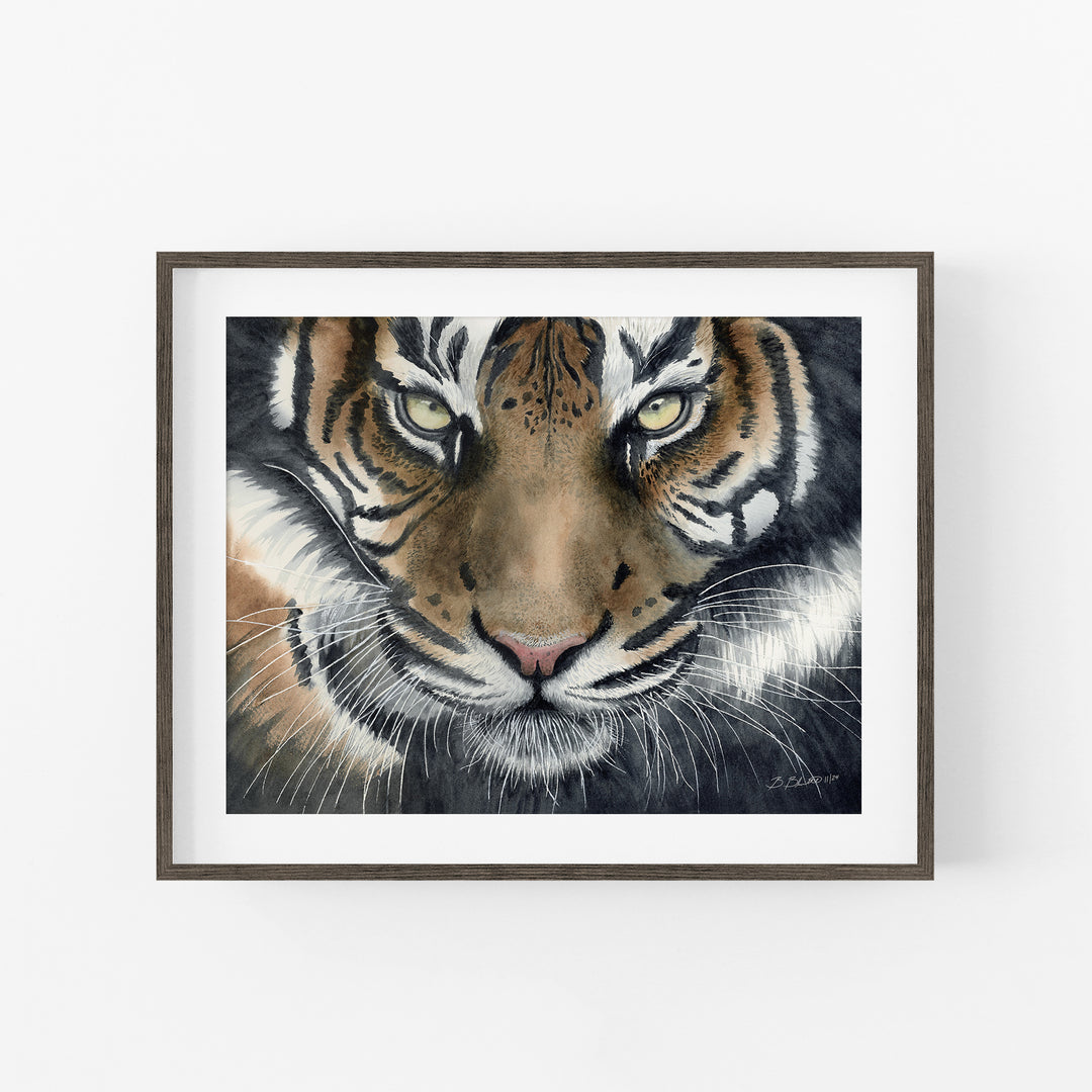 Eye of the Tiger Watercolor Art - Brett Blumenthal Art
