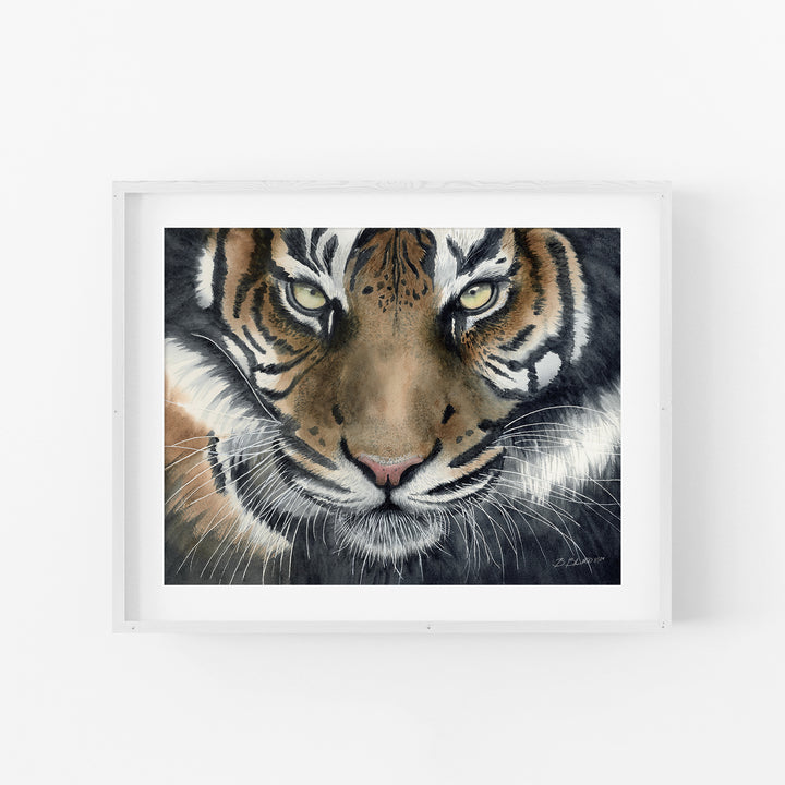 Eye of the Tiger Watercolor Art - Brett Blumenthal Art