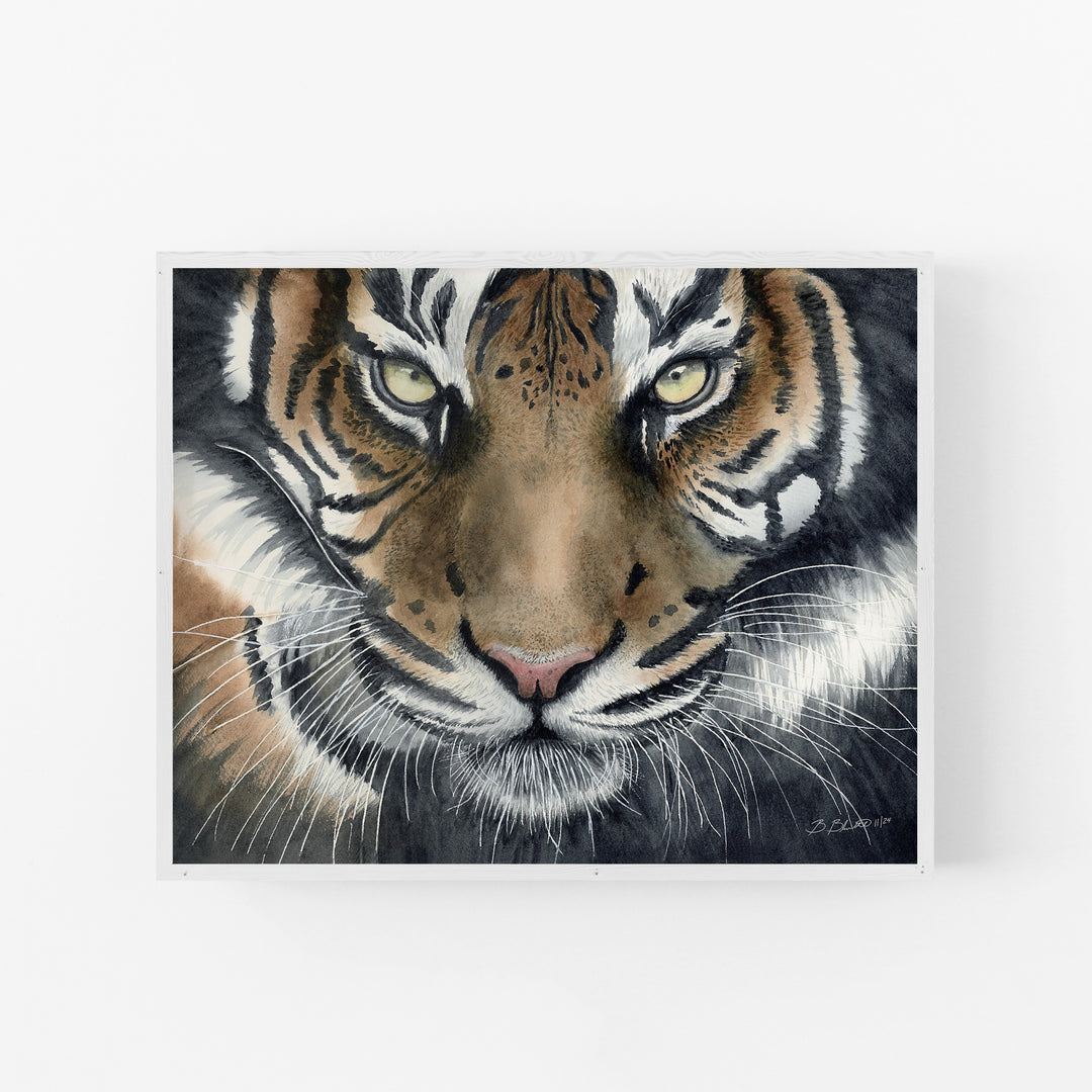 Eye of the Tiger Watercolor Art - Brett Blumenthal Art