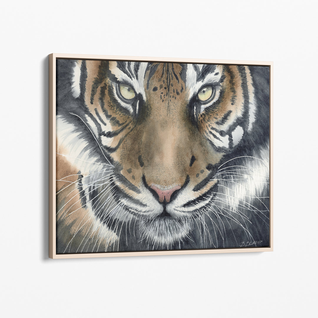 Eye of the Tiger Watercolor Art - Brett Blumenthal Art