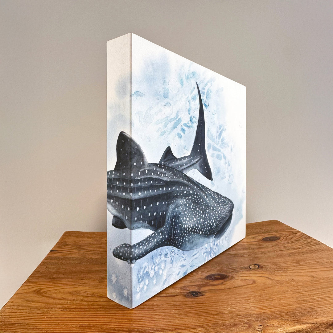 Whale shark watercolor artwork on gallery wrapped canvas with wraparound edges by Brett Blumenthal
