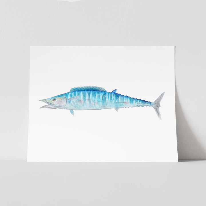 Wahoo-Illustration