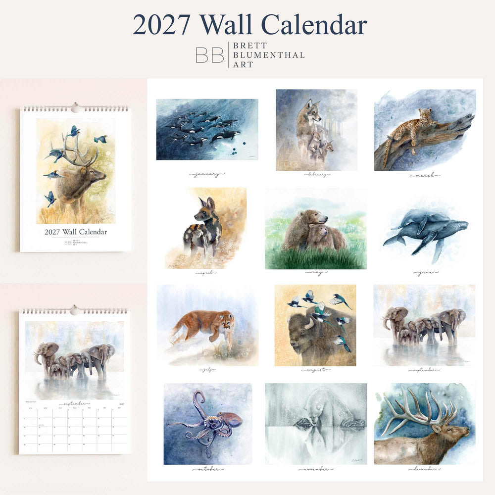 2027 wildlife watercolor calendar collection, showing all 12 monthly paintings by Brett Blumenthal from January orcas to December elk
