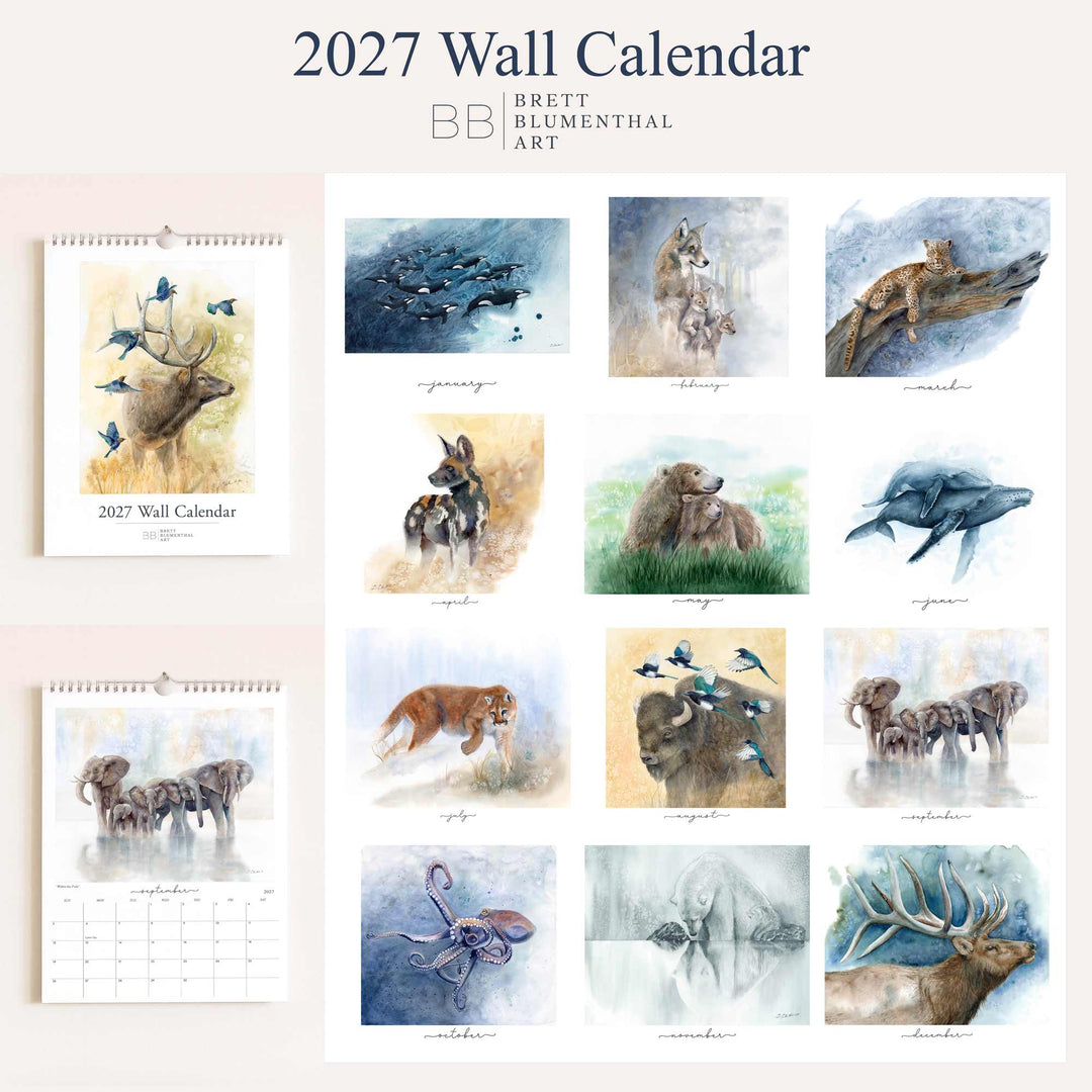 2027 wildlife watercolor calendar collection, showing all 12 monthly paintings by Brett Blumenthal from January orcas to December elk