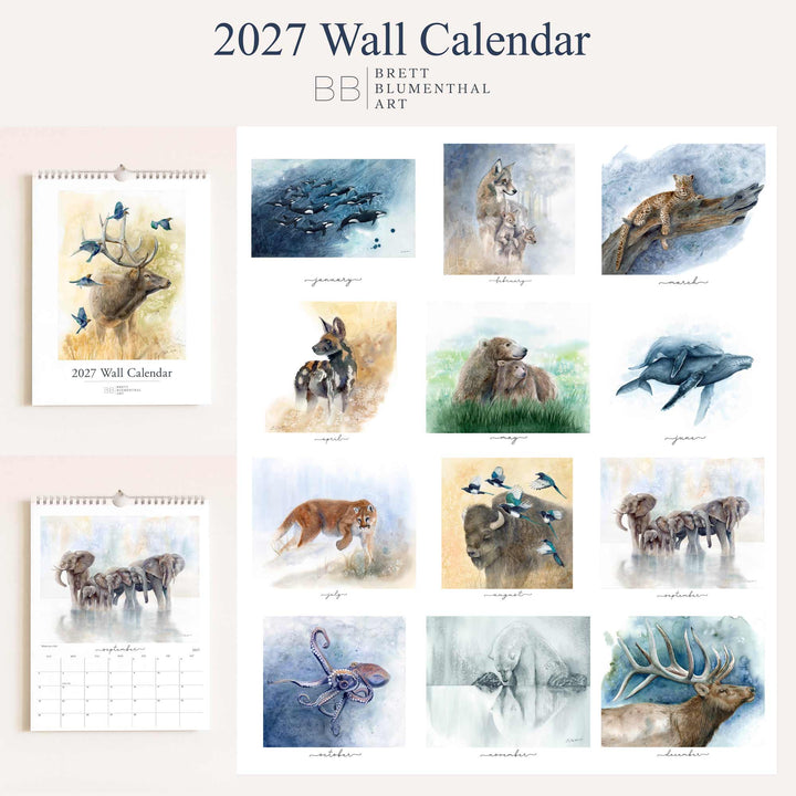 2027 wildlife watercolor calendar collection, showing all 12 monthly paintings by Brett Blumenthal from January orcas to December elk
