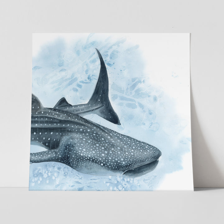Whale shark watercolor painting with image continuing around canvas sides