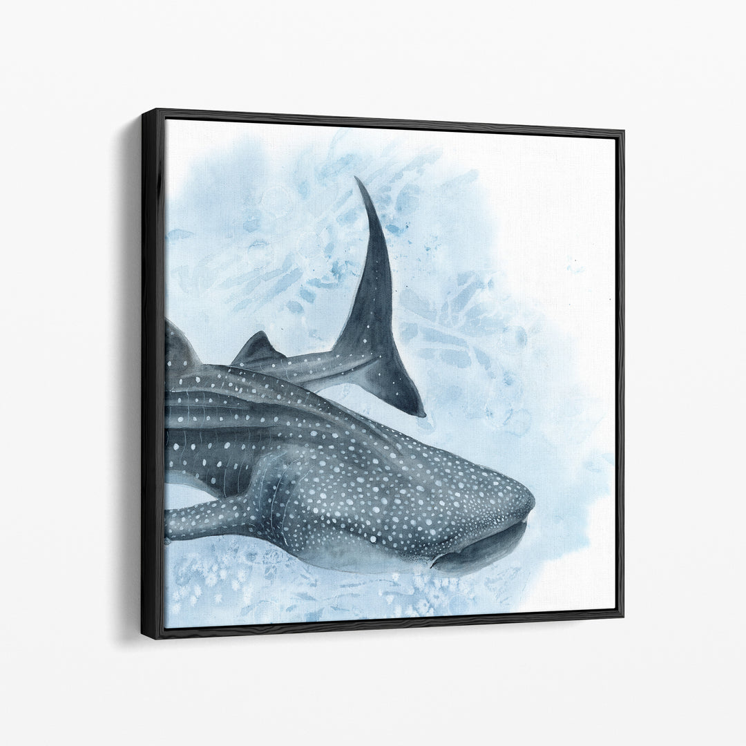 Uncontained — Whale Shark Watercolor Art | Print &amp; Gallery Canvas - Brett Blumenthal Art
