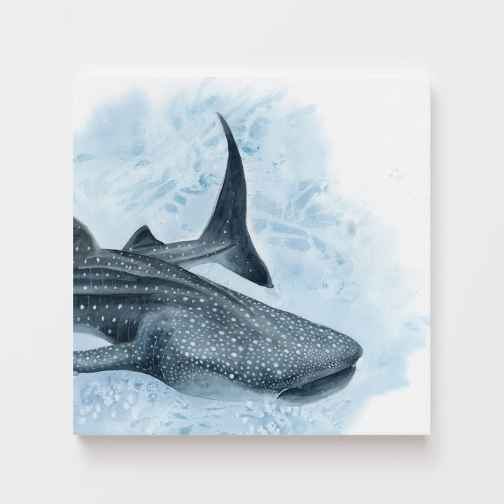 Uncontained — Whale Shark Watercolor Art | Print &amp; Gallery Canvas - Brett Blumenthal Art