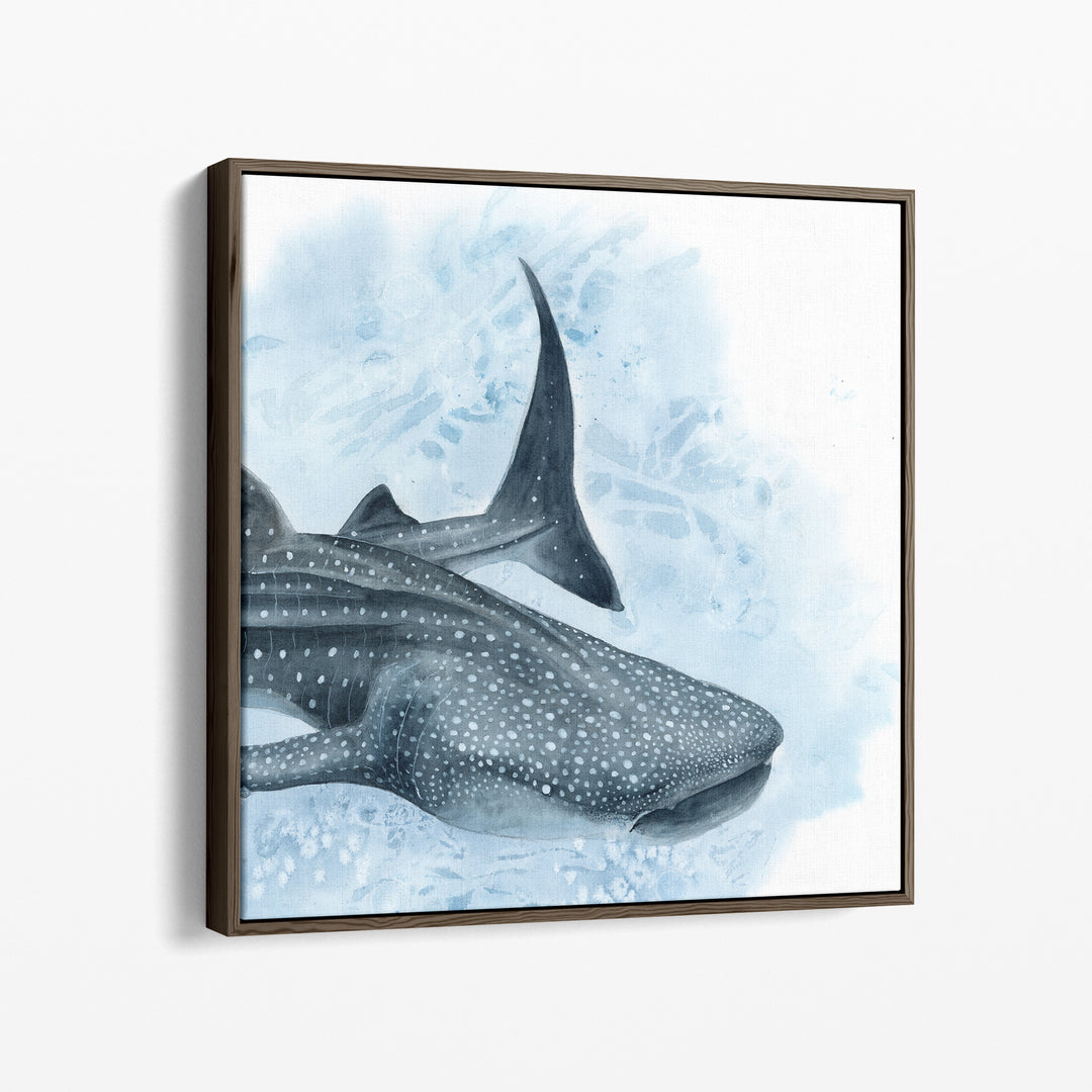 Uncontained — Whale Shark Watercolor Art | Print &amp; Gallery Canvas - Brett Blumenthal Art