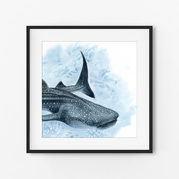 Uncontained — Whale Shark Watercolor Art | Print &amp; Gallery Canvas - Brett Blumenthal Art