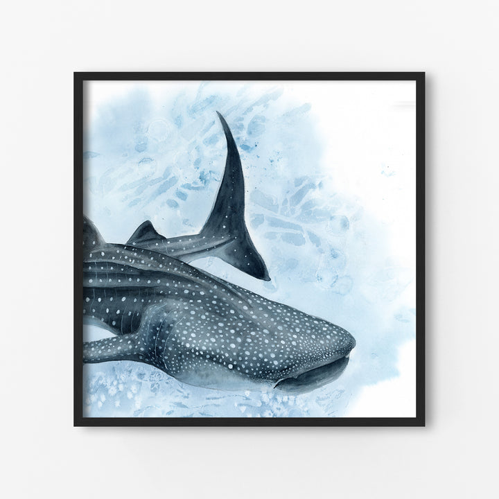 Uncontained — Whale Shark Watercolor Art | Print &amp; Gallery Canvas - Brett Blumenthal Art