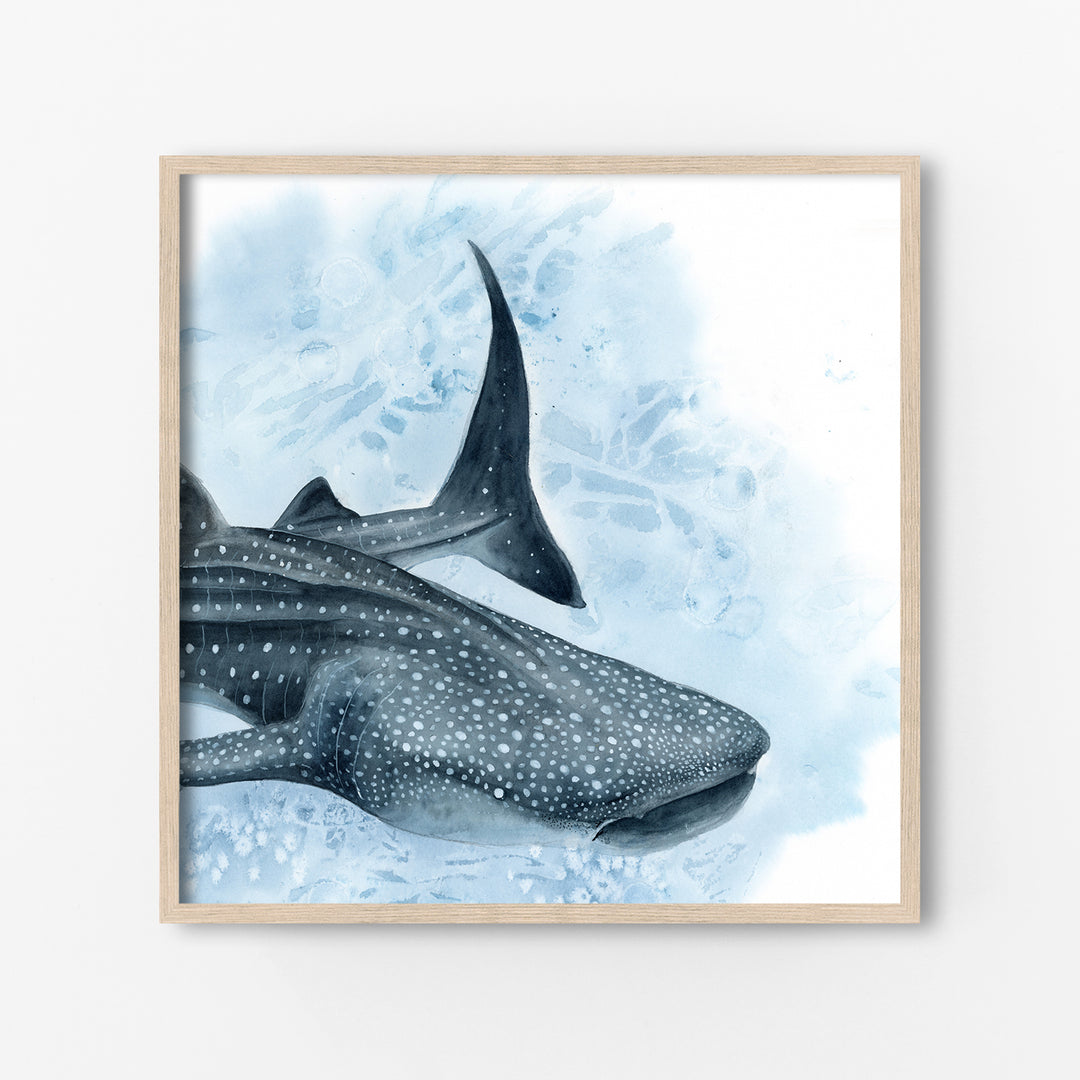Contemporary ocean wildlife artwork featuring endangered whale shark