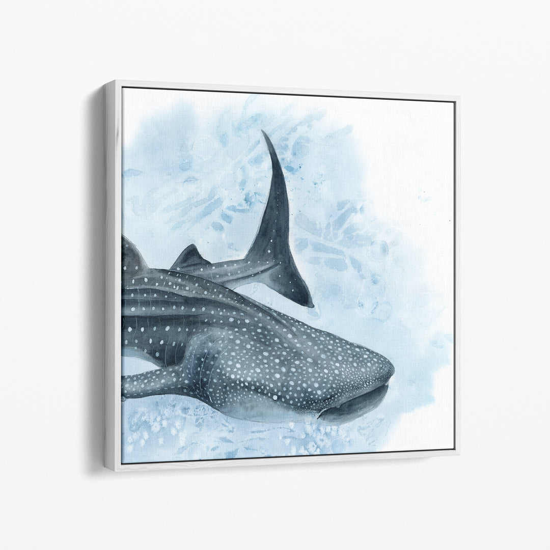 Uncontained — Whale Shark Watercolor Art | Print &amp; Gallery Canvas - Brett Blumenthal Art