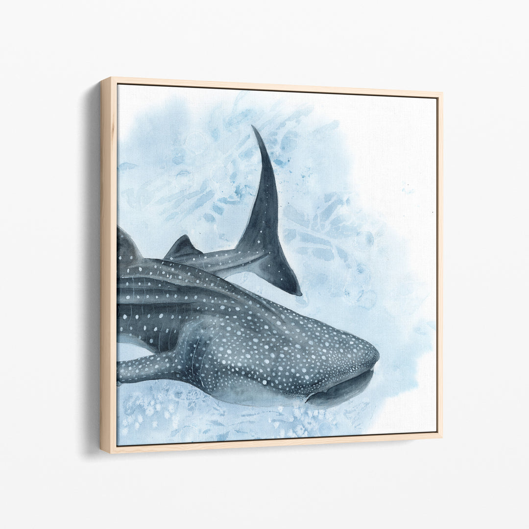 Uncontained — Whale Shark Watercolor Art | Print &amp; Gallery Canvas - Brett Blumenthal Art