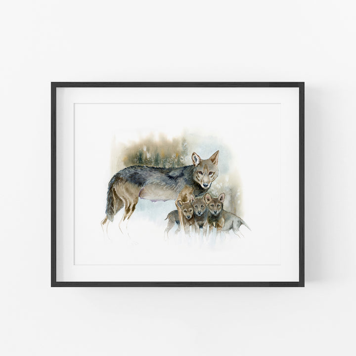 Red wolf watercolor print in an black frame with mat

