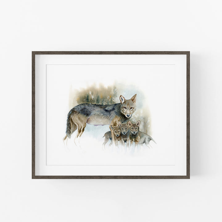 Red wolf watercolor print in an espresso wood frame with a mat
