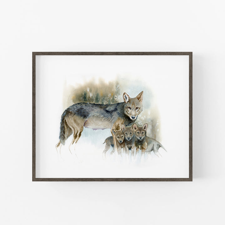 Red wolf watercolor print in an espresso wood frame 