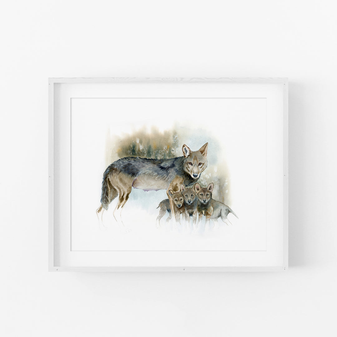 Red wolf watercolor print in a white wood frame with a mat
